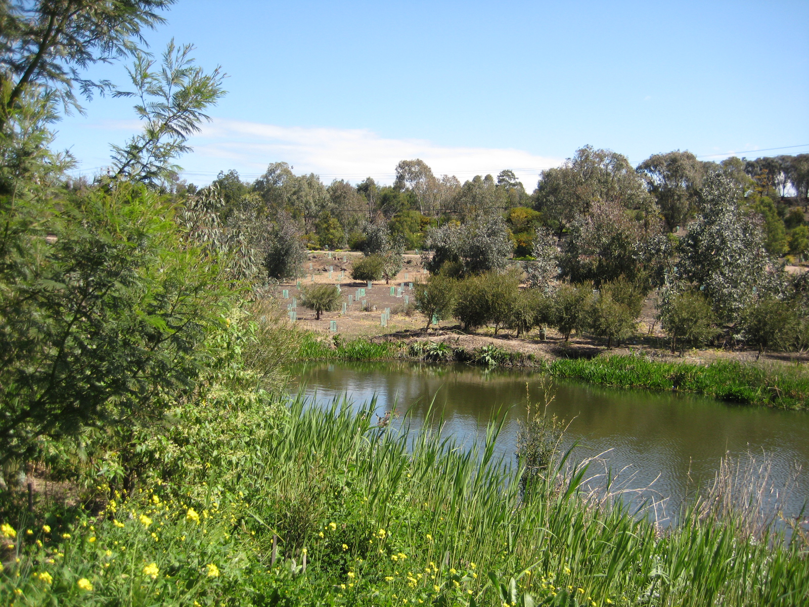 Kororoit Creek corridor greening - Greening the West