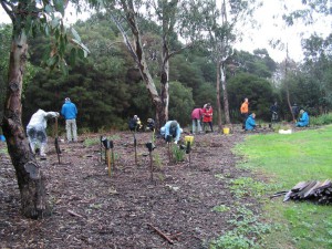 Newells Community planting