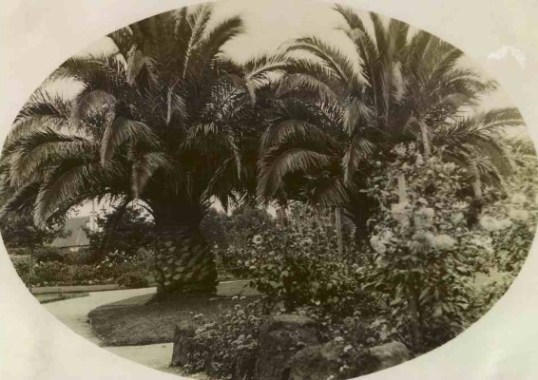 Postcard_of_Gardens_circa_1915