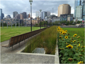 birrarung marr stormwater project