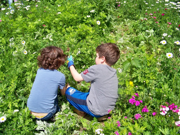 kids gardening