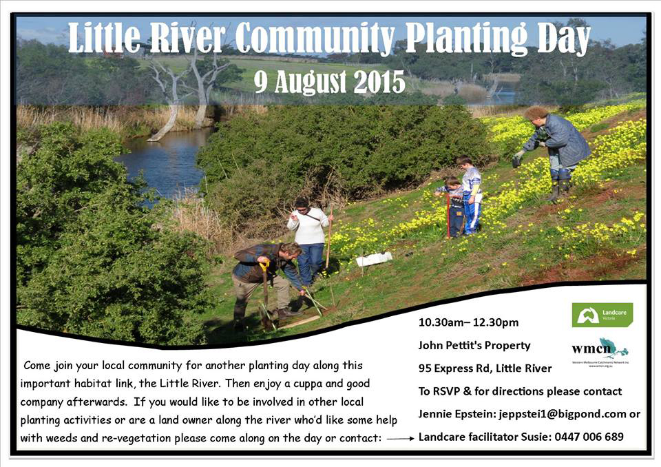 Little River planting 9th Aug 2015-