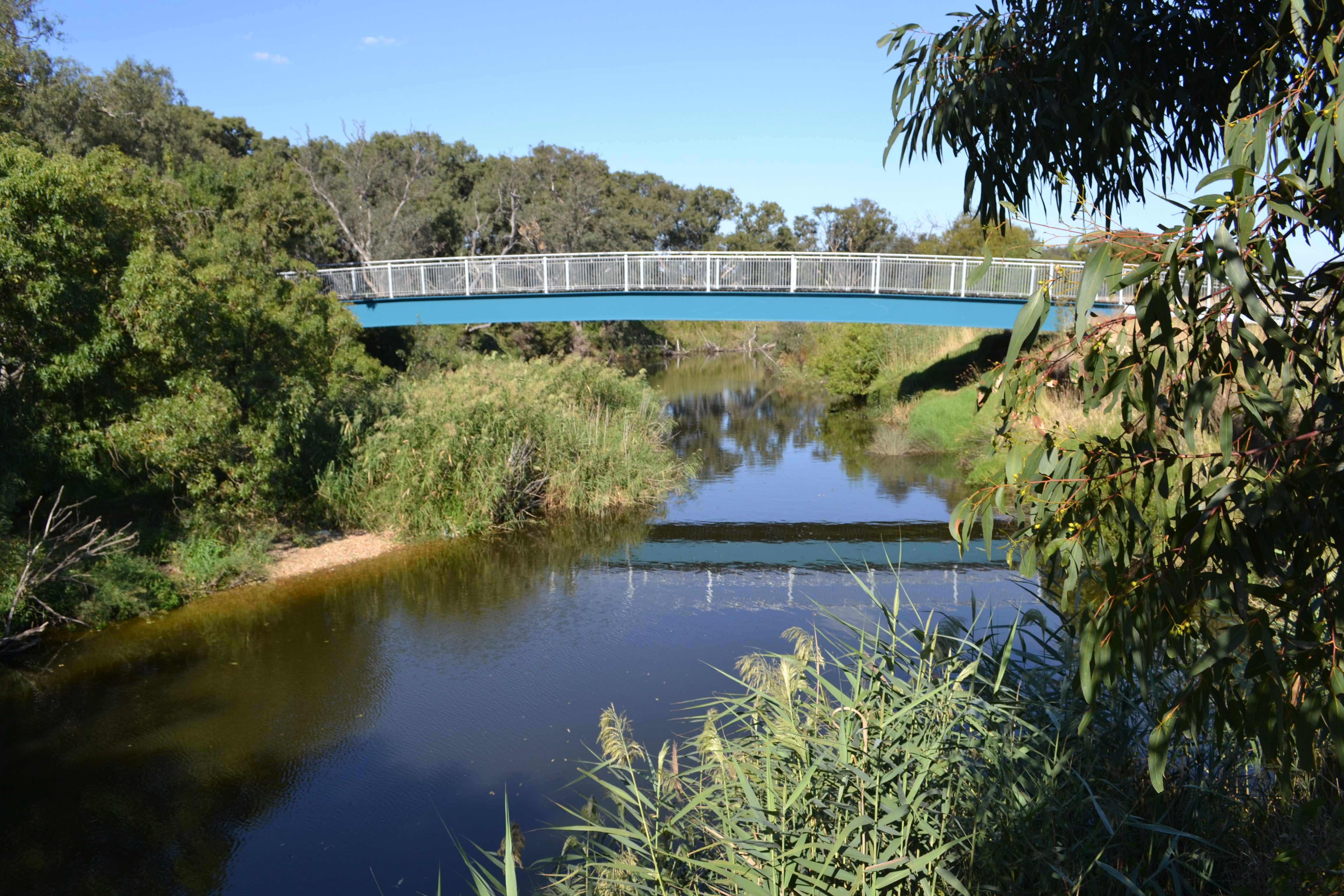 Winter planting at Werribee River Park