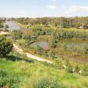 Afton Street Conservation Park Wetlands