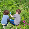 kids gardening